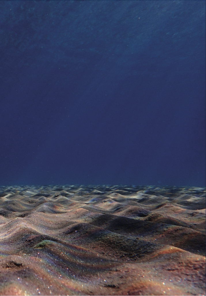 an evocative photograph of the sea floor shows a horizon line between sand and water, punctuated by illuminating sun rays