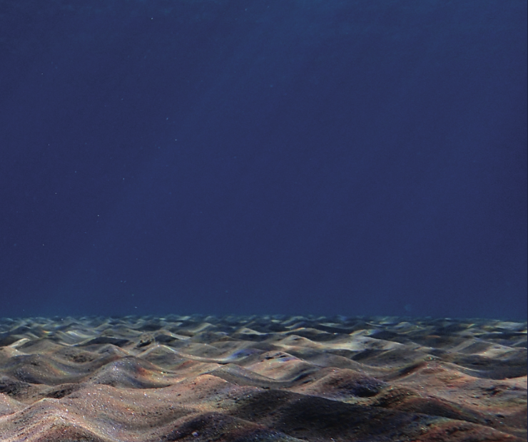 an evocative photograph of the sea floor shows a horizon line between sand and water, punctuated by illuminating sun rays